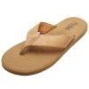 Men's Cole 2.0 Flip Flop